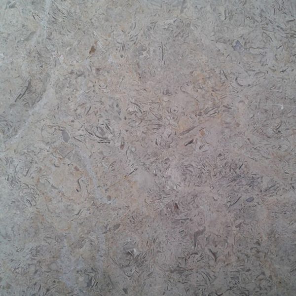 Brown Shell Flower Polished Big Slabs